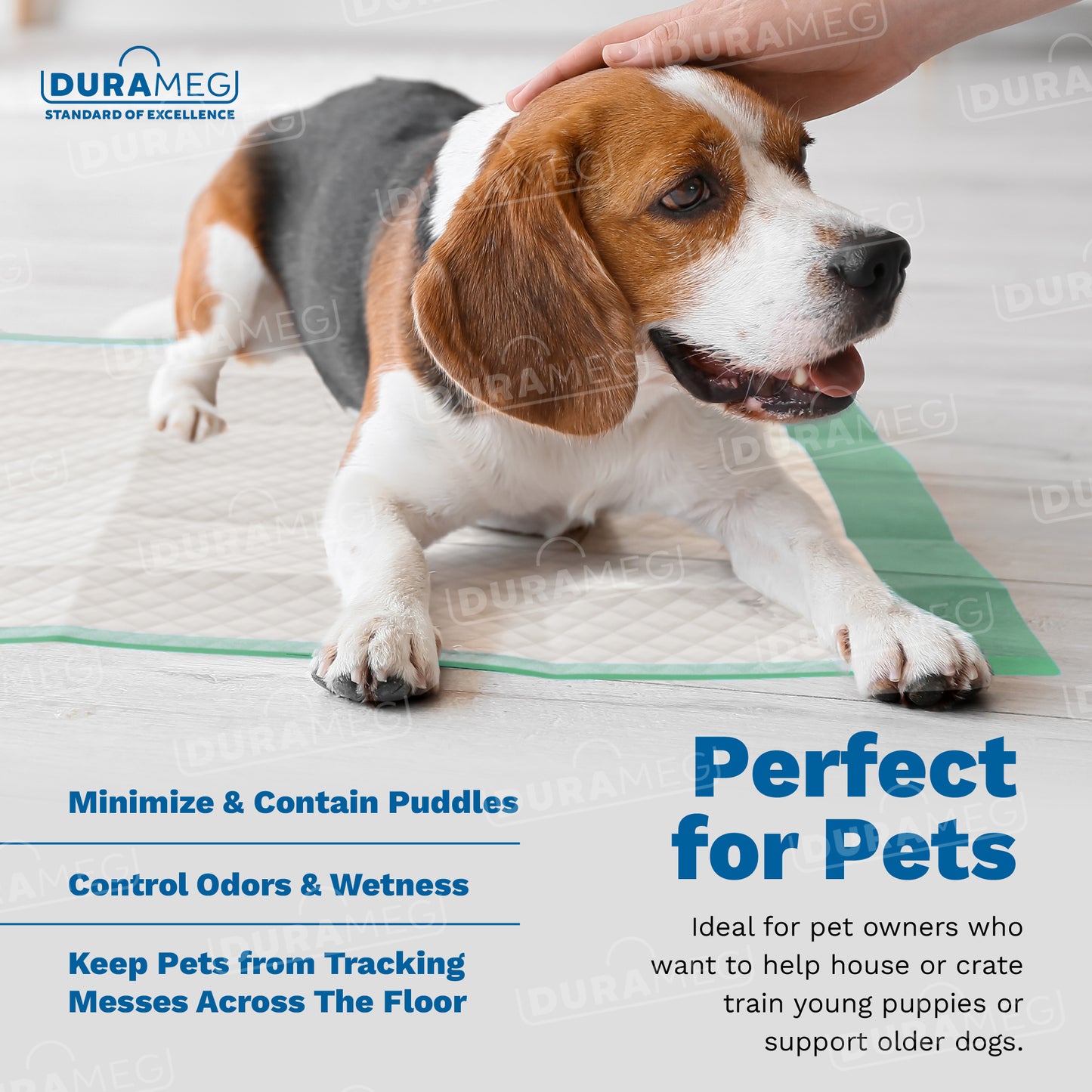 Disposable Chucks Pads - Perfects for pets training